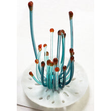 Load image into Gallery viewer, Corallite Creations with Nikki O'Neill - starts June 24 - FULL