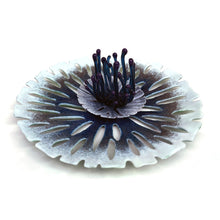 Load image into Gallery viewer, Corallite Creations with Nikki O'Neill - starts June 24 - FULL