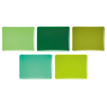 Load image into Gallery viewer, Transparent Greenery Bundle