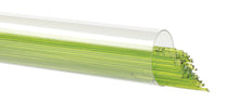 Load image into Gallery viewer, Stringer - 1426 Spring Green - Transparent