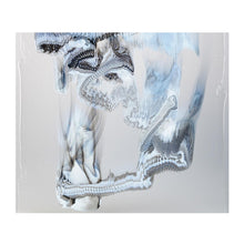 Load image into Gallery viewer, Large Sheet Glass - 3100 Clear, White, Black - Graffiti