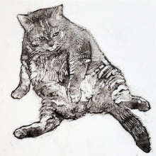 Load image into Gallery viewer, Powdered Pet Portraits- Sept 12