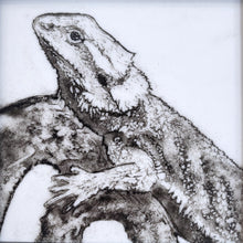 Load image into Gallery viewer, Powdered Pet Portraits- Sept 12