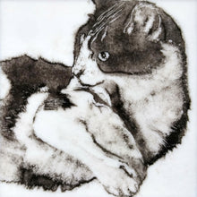 Load image into Gallery viewer, Powdered Pet Portraits- Sept 12