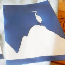 Load image into Gallery viewer, 2 Pack of Easy Screens