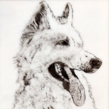 Load image into Gallery viewer, Powdered Pet Portraits- Sept 12