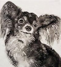 Load image into Gallery viewer, Powdered Pet Portraits- Sept 12