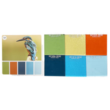 Load image into Gallery viewer, Kingfisher Transparent Bundle
