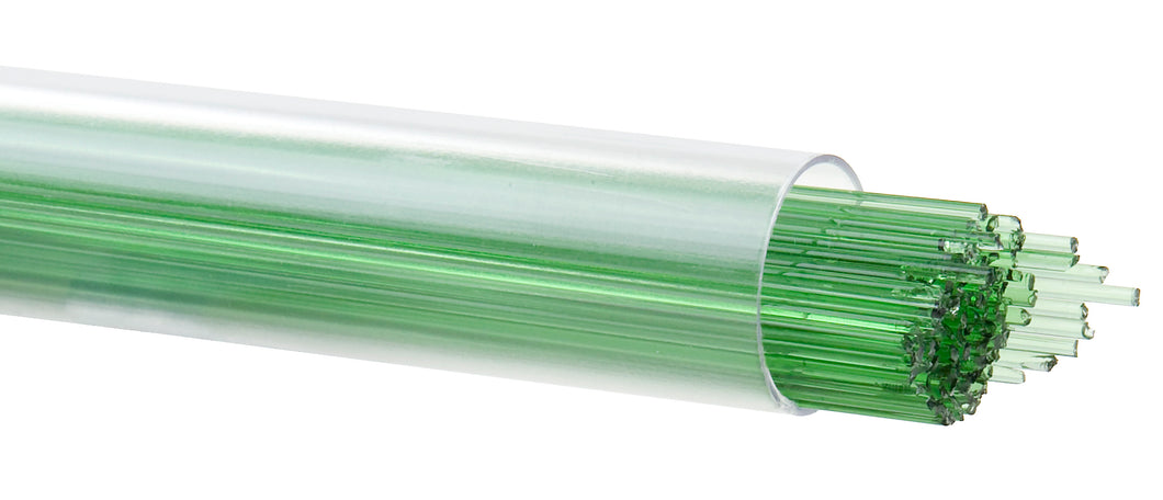 Stringer - Light Green - Transparent