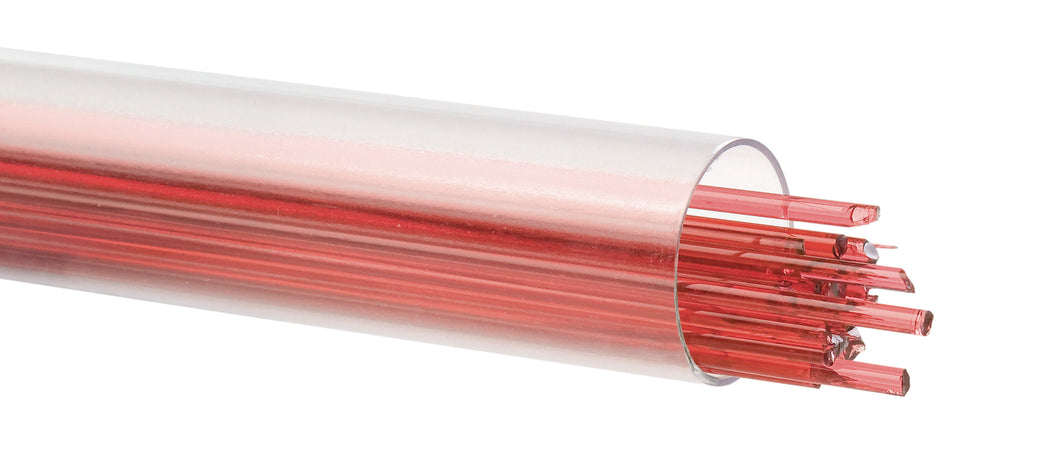 Stringer - Sunset Coral* - Transparent