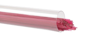 Stringer - Cranberry Pink - Transparent