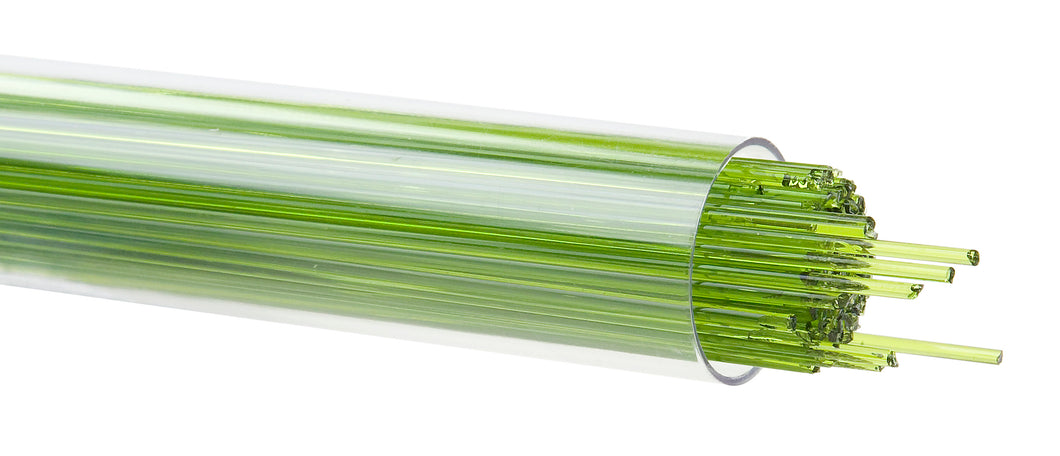 Stringer - Spring Green - Transparent