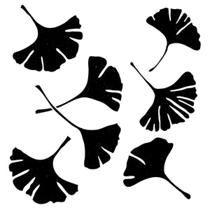 Stencil - Ginkgo Leaves